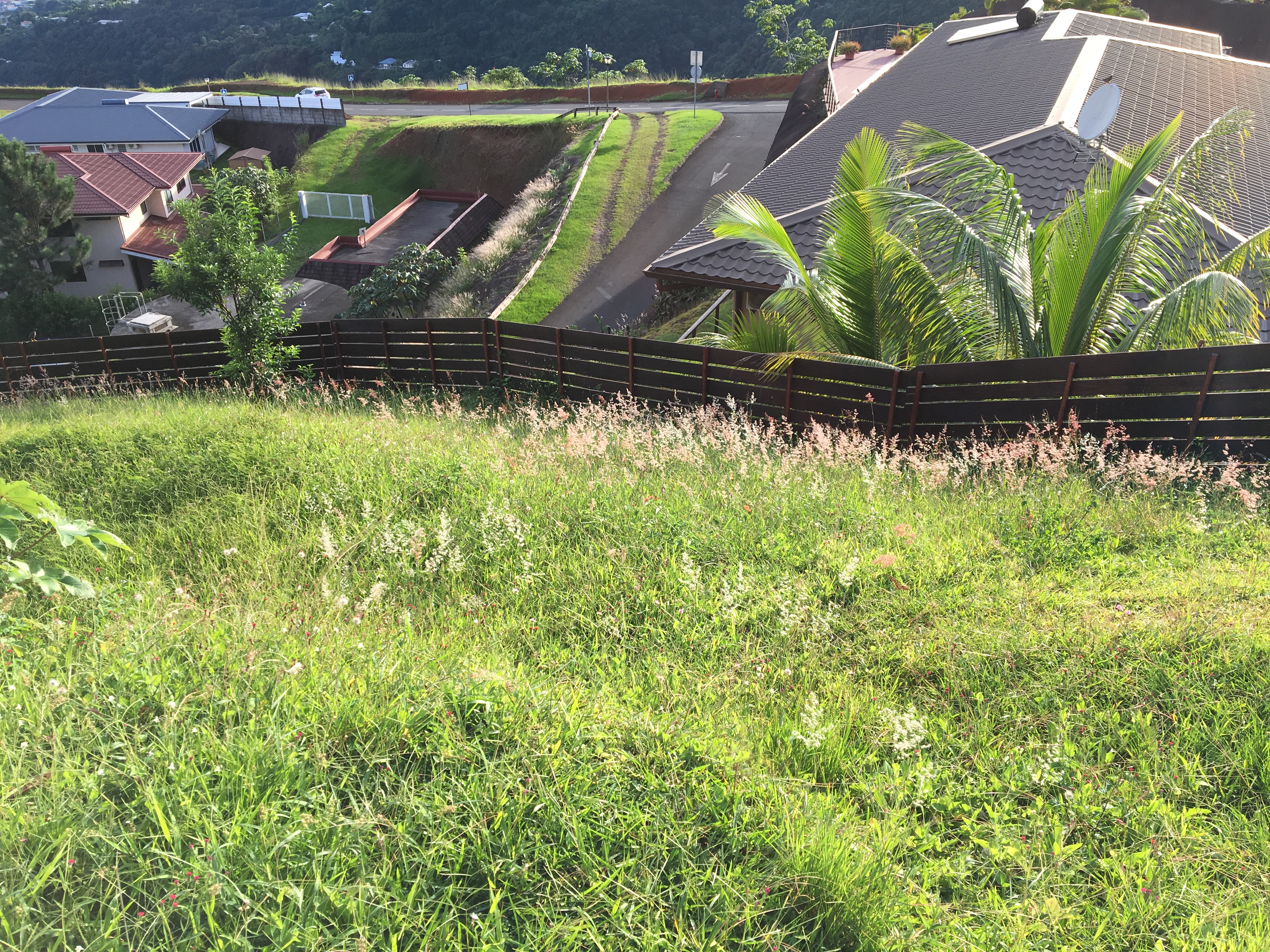 Nettoyage jardin | Demande de Devis en ligne