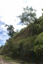 Les redans à nettoyer (entre les deux arbres)