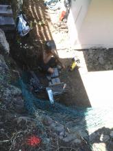 Pose du grillage et mise en place tige d'ancrage