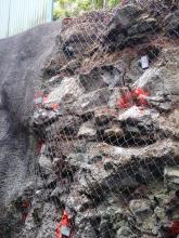 Pose du grillage et mise en place de tige d'ancrage