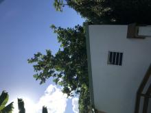 Chantier à Papeete au pic vert