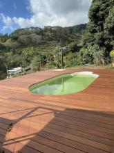 Vue d'ensemble de l'espace piscine avec garde-corps