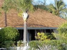 Fin des travaux de rénovation