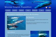 Moorea Dolphin Expedition : Observation des baleines et dauphins dans le lagon de Moorea