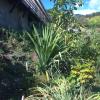 Vue en long du jardin